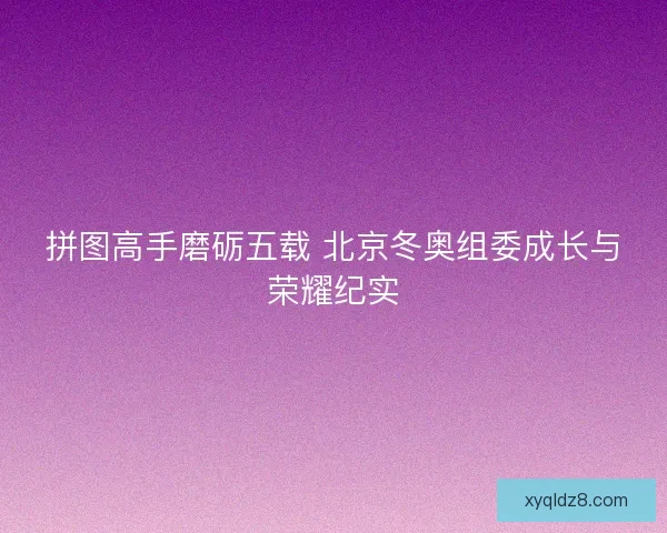 拼图高手磨砺五载 北京冬奥组委成长与荣耀纪实